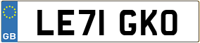 Truck License Plate
